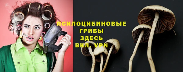 спайс Балабаново