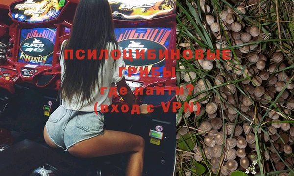 ГАЛЛЮЦИНОГЕННЫЕ ГРИБЫ Арсеньев