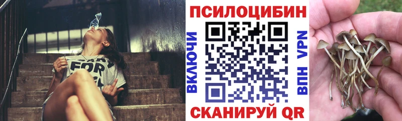 Галлюциногенные грибы прущие грибы  Урус-Мартан 